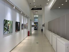 -Sony Store索尼(广州正佳店)