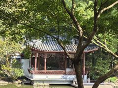 -汇龙潭