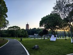 -宜兴龙背山森林公园