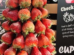 -北京乐多港万豪酒店·臻厨