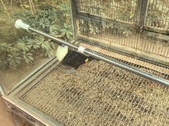 -南宫五洲植物乐园