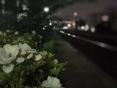 -是山居