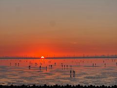 -南汇嘴观海公园