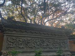 -普陀山风景名胜区-法雨禅寺