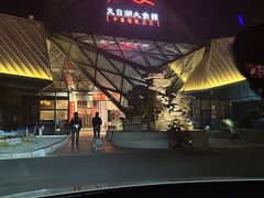 -久宴·天目湖大鱼头(恐龙园店)