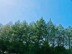 -阳澄湖半岛旅游度假区