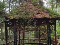 -青城山