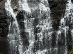 -海南热带雨林国家公园吊罗山景区