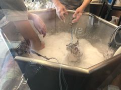 -PETKIT小佩宠物(古北店)