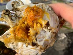 -呼吸森林·生态农庄农家乐私房菜