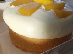 -糕小爱·动物奶油生日蛋糕定制(昆山总店)