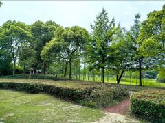 -广富林郊野公园