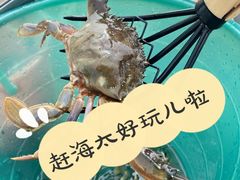 -将军石酒店温泉