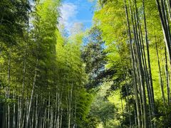 -黄公望隐居地