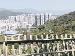 -福道