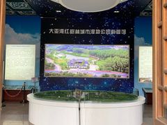 -大亚湾红树林城市湿地公园