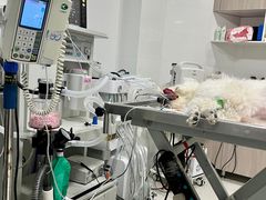 -畜牧兽医站(共江路店)