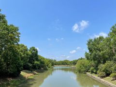 -上海海湾国家森林公园