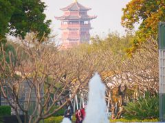-厦门园林博览苑