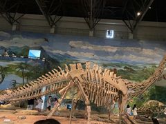 -自贡恐龙博物馆