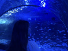 -江和美海洋公园