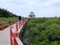 -北海金海湾红树林生态旅游区