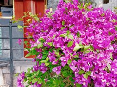 -聚德华天烤肉季·宴会厅(什刹海总店)