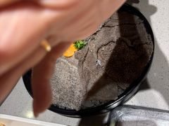 -海底捞火锅(公益西桥店)