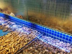 -必点海鲜·鲅鱼水饺(鞍山西道店)