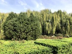 -洛阳市隋唐城遗址植物园