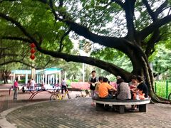 -垂虹公园