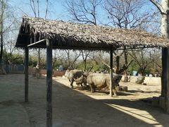 -西安秦岭野生动物园