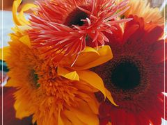 -七彩云南茶(七彩云南第壹城店)