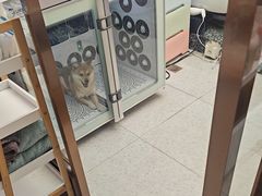-FAELING PETS美天灵宠物(富力广场店)