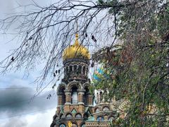 -滴血救世主教堂