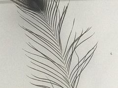 -东平国家森林公园