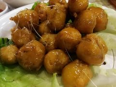 -椿记烧鹅(叠彩店)