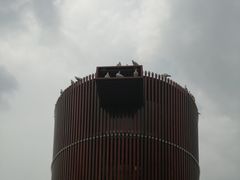-世界地热博览园