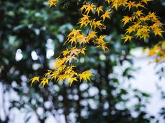 -红山森林动物园