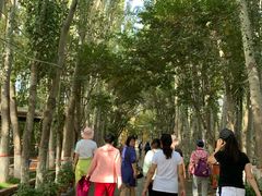 -艾提尕尔清真寺