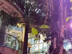 -正佳雨林生态植物园