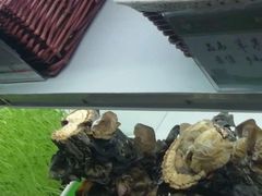 -番食园鲜食火锅(高新店)