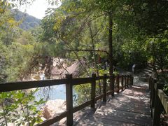 -广州白江湖森林公园