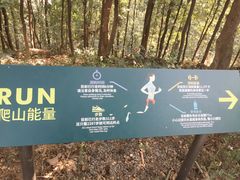 -伴山茶苑·一盏冰茶·半日山居