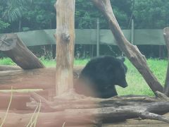 -海南热带野生动植物园