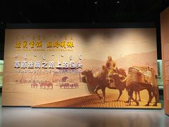 -包头博物馆