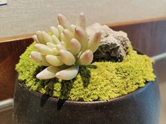 -明州府(文化广场店)