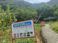 -百里鲜(羚羊峡古栈道森林公园店)