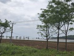 -金鸡湖桃花岛