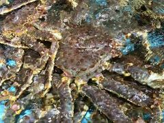 -渔民新村(番禺总店)